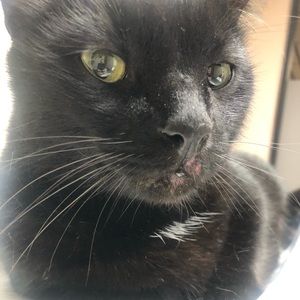 Meet your Posher, Jeff